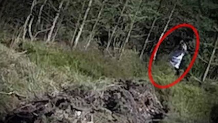 7 FLORESTAS MAIS ASSUSTADORAS E ASSOMBRADAS DO MUNDO