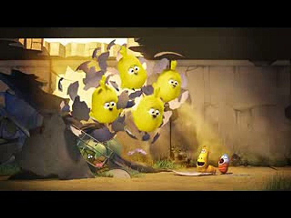 LARVA - Chick