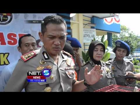 Polres Gresik Gagalkan Upaya Penyelundupan Belasan Burung Langka - NET5
