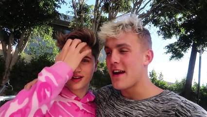 THIS DIDN'T END WELL-MjkMtMr6Sbo