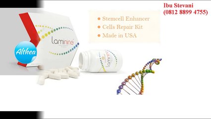 081288994755 (Ibu vani), Agen Laminine Jakarta Pusat, Agen Laminine Jakarta Timur