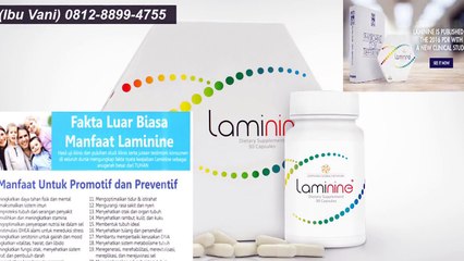 0812-8899-4755 (Ibu Stevani),Harga Herbal Laminine,Harga Distributor Laminine.
