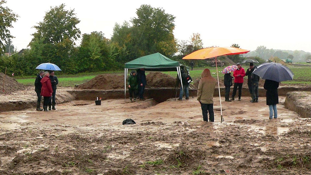 Kulturjournal-Wahr. Schön. Gut.-Kulturkritik-06.02.2017