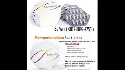 (WA) 0812889994755 (Ibu Vani) Agen Laminine Medan, Agen Obat Laminine