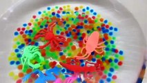 ORBEEZ Magic Growing Water Balls   Giant Insect Growing on Water - Kiddie Toys