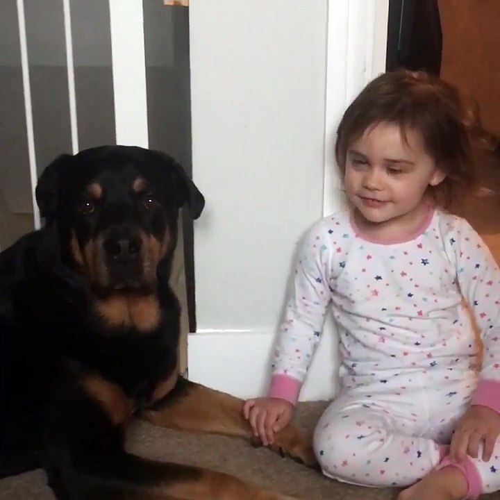Doggy Duet