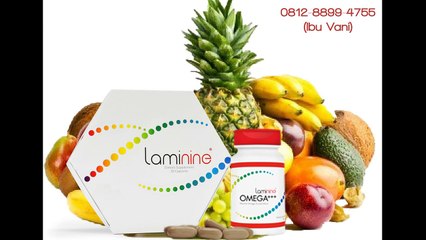 0812-8899-4755 (Ibu Vani) Khasiat Suplemen Laminine, Manfaat Herbal Laminine