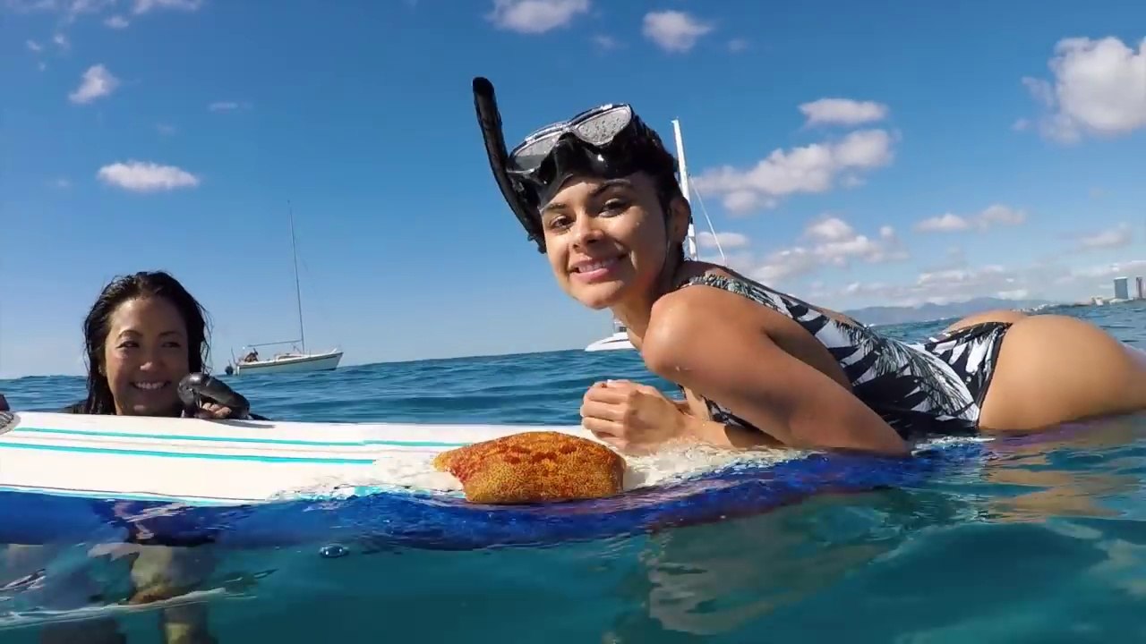 I Went to Hawaii