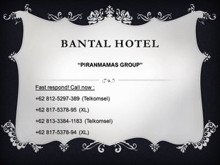 +62 81-7537-895, Bantal Guling, Bantal Guling Bandung, Hotel Di Bandung