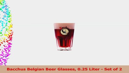 Bacchus Belgian Beer Glasses 025 Liter  Set of 2 23c10a71