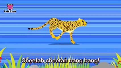 Cheetah Bang Bang _ Cheetah _ Animal Songs _ Pinkfong Songs for Children-qEmd99ev2dg