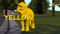 3D Horse Colors Song For Children | Learning Colors Collection For Kids Toddlers