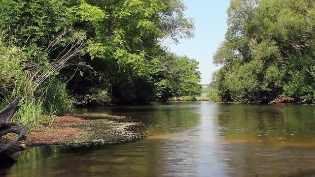 Insectes - Calopteryx éclatant - La faune et la flore de M&M