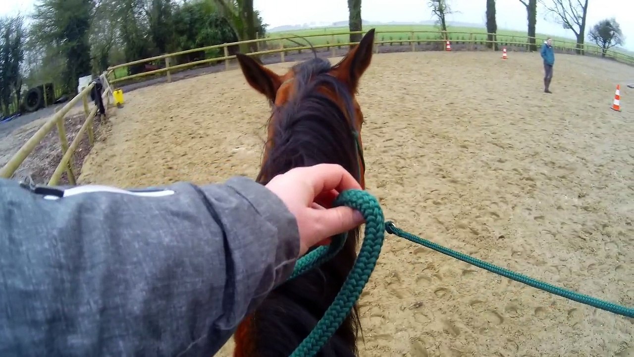 elsa etho 08 fevrier