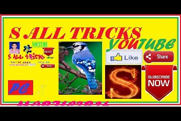 2 Rs rare old coin in india by S