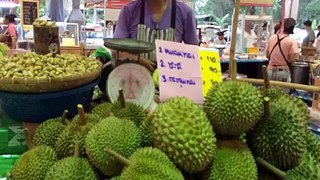 Merlin Tuttle - 'Killing Bats Threatens SE Asia's Billion-Dollar Durian Industry'