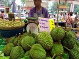 Merlin Tuttle - 'Killing Bats Threatens SE Asia's Billion-Dollar Durian Industry'