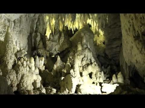 Sensasi Berpetualang Menjelajahi Gua Ruakuri di Selandia Baru - NET24