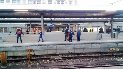 Un chien policier saute sur une femme et la fait tomber sur les rails en Allemagne.