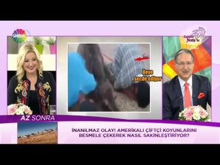 Gözlerinize inanamayacaksınız! Bu deve namaz kılıyor!
