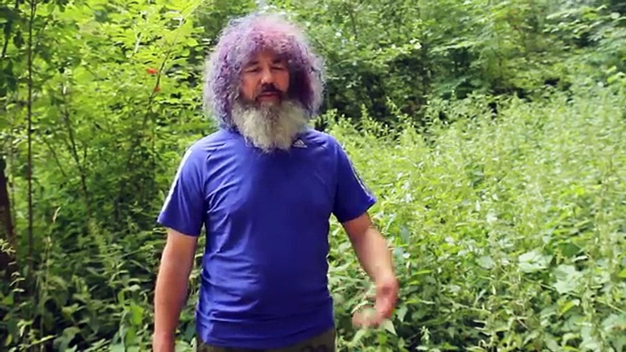 Robert Franz - Kräuter-ABC: Brenessel