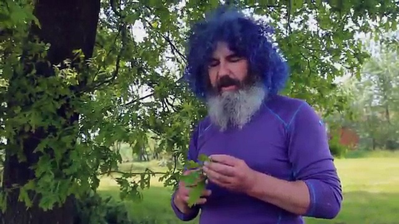 Robert Franz - Kräuter-ABC: Eichenblätter