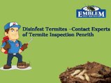 Pest Control Service Blue Mountains| Pest Inspection Penrith