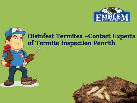 Pest Control Service Blue Mountains| Pest Inspection Penrith