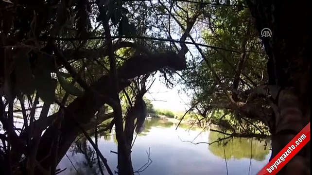 Yunanistan'ın kaçakları Türkiye sınırına bırakması