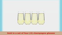 Cathys Concepts Celebrate Stemless Champagne Flutes Set of 4 b25d100b