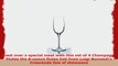 Luigi Bormioli Crescendo 8Ounce Champagne Flute Glasses Set of 4 f4f1df1c
