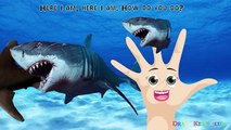 Finger Family Shark 3D | Nursery Rhymes Song | Animal Finger Family | Fish Finger Family 3D for Kids