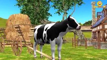 Animals Finger Family Song | Mega Finger Family Collection | 3D Animation Nursery Rhymes for Kids