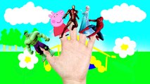 Spiderman Finger Family collection Nursery Rhymes Lyrics for Kids Peppa pig Frozen Elsa Lollipop