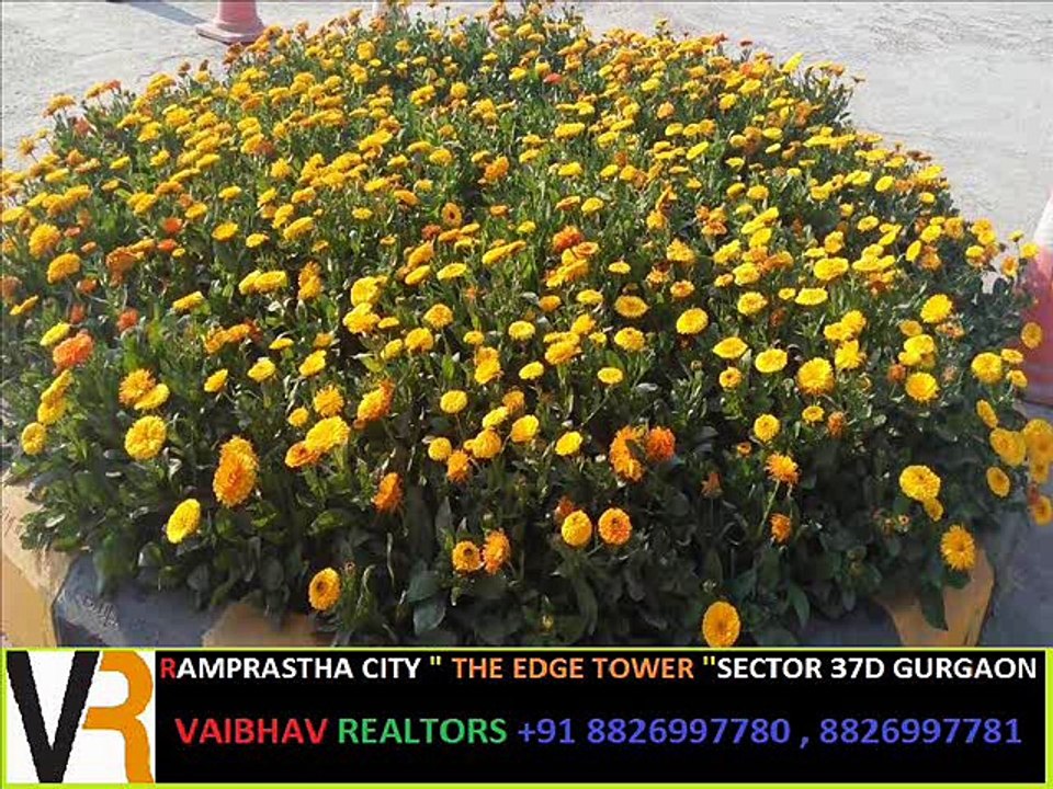 2,3,4 BHK In The EDGE Tower near Ghariharsu Sector 37D Gurgaon +91 8826997780