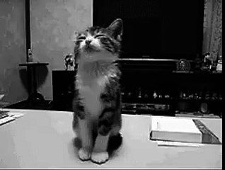 Ayakta Uyuyan Tatlılık