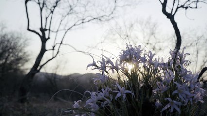 "The Diamond Story": Introduction au Botswana