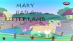 Nursery Rhymes For Kids HD | Mary Had a Little Lamb | Nursery Rhymes For Children HD