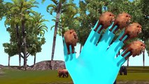 Top 10 Lion Finger Family Rhymes For Children 3D Animated Rhymes | Animal Finger Family