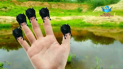 Mega Gummy Color Bear Finger Family Nursery Rhyme For Kids | Buffalo Cartoon Animation Kids Songs