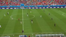 Robin van Persie vs Spain 6/13/2014 HD