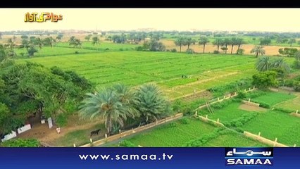 Awam Ki Awaz | SAMAA TV | Full Episode | 07 Feb 2017