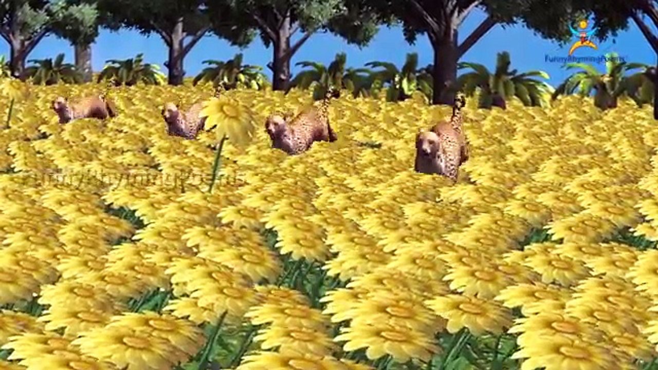 3D животные палец семья nursery детей 3D английский популярные стишки | палец семейные песни