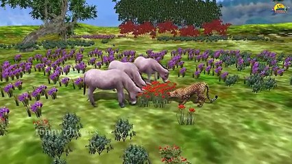 Cheeta Finger Family Nursery english 3d rhymes | Children Animated finger family song