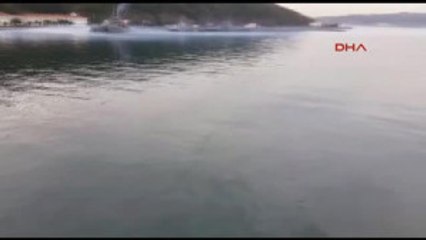 Beykoz'da Esrarengiz Yakıt Sızıntısı