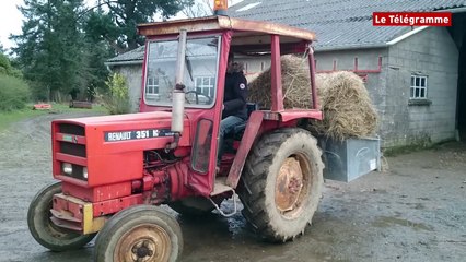 Ploumilliau (22). La ferme du bonheur