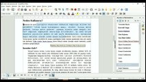 45 Ders - LibreOffice Write örnek çalışma metin denetimleri form elamanları 4