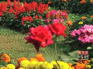 'সুশীল সমাজের প্রতিনিধিত্ব না থাকা অপ্রত্যাশিত'