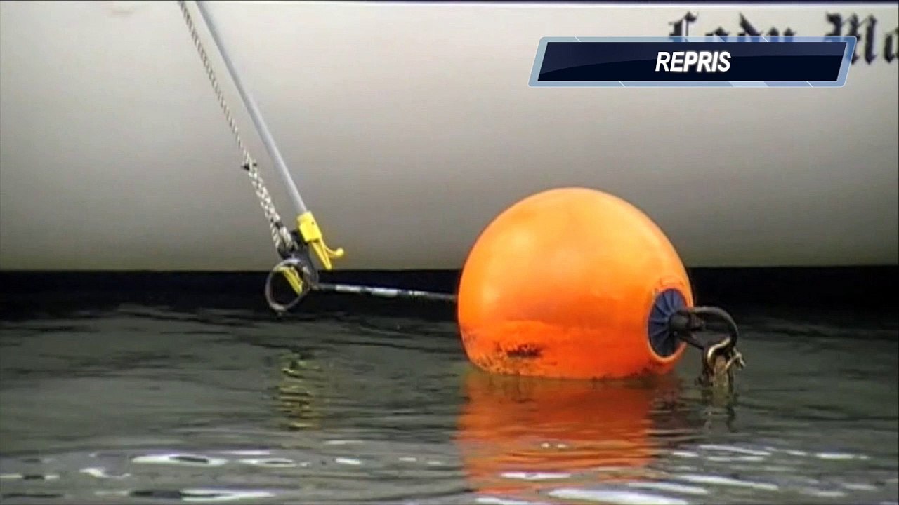 Présentation de la gaffe Handy Duck K