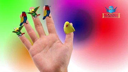 Animals Finger Family for Kids - Kids Finger Family Rhymes